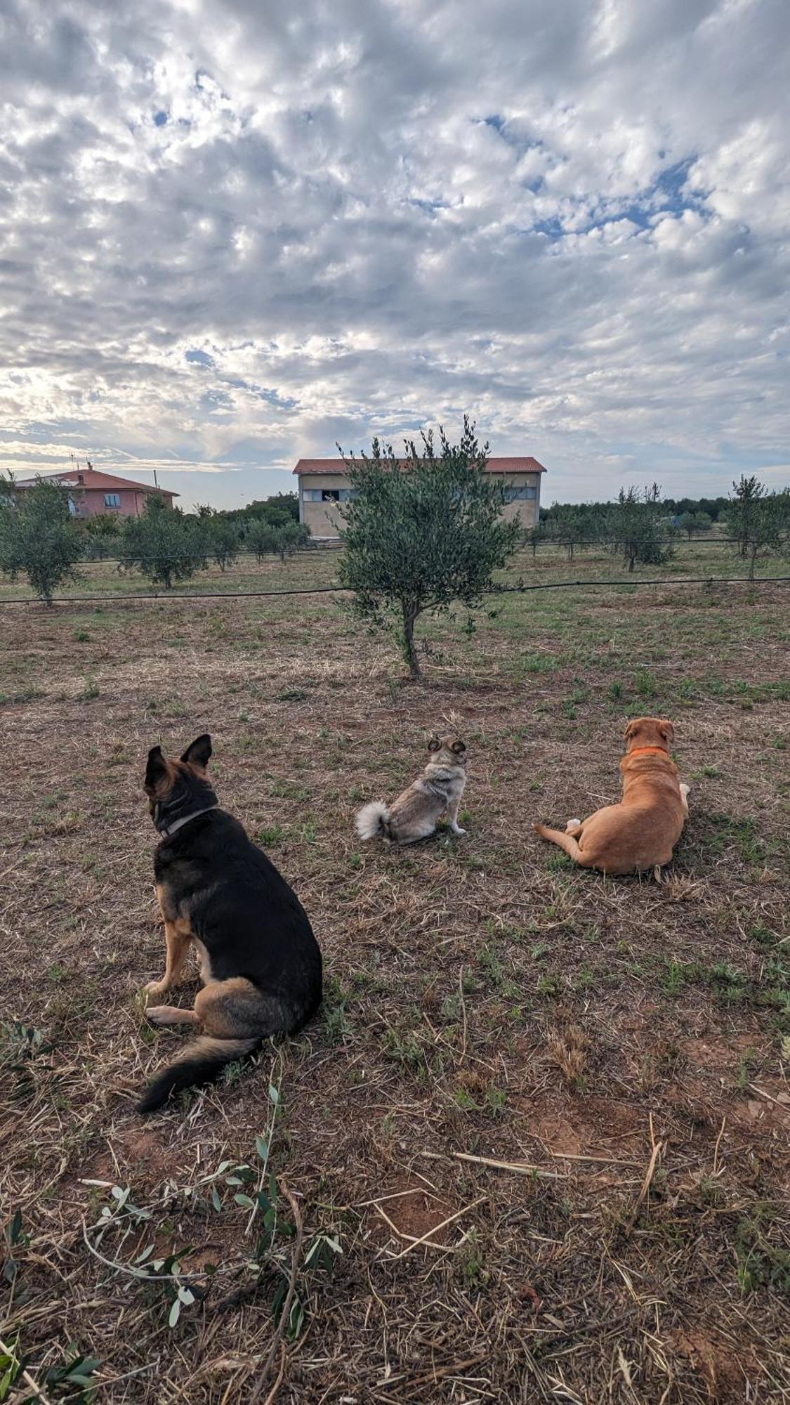 Casa Rurale San Vincenzo Eksteriør bilde
