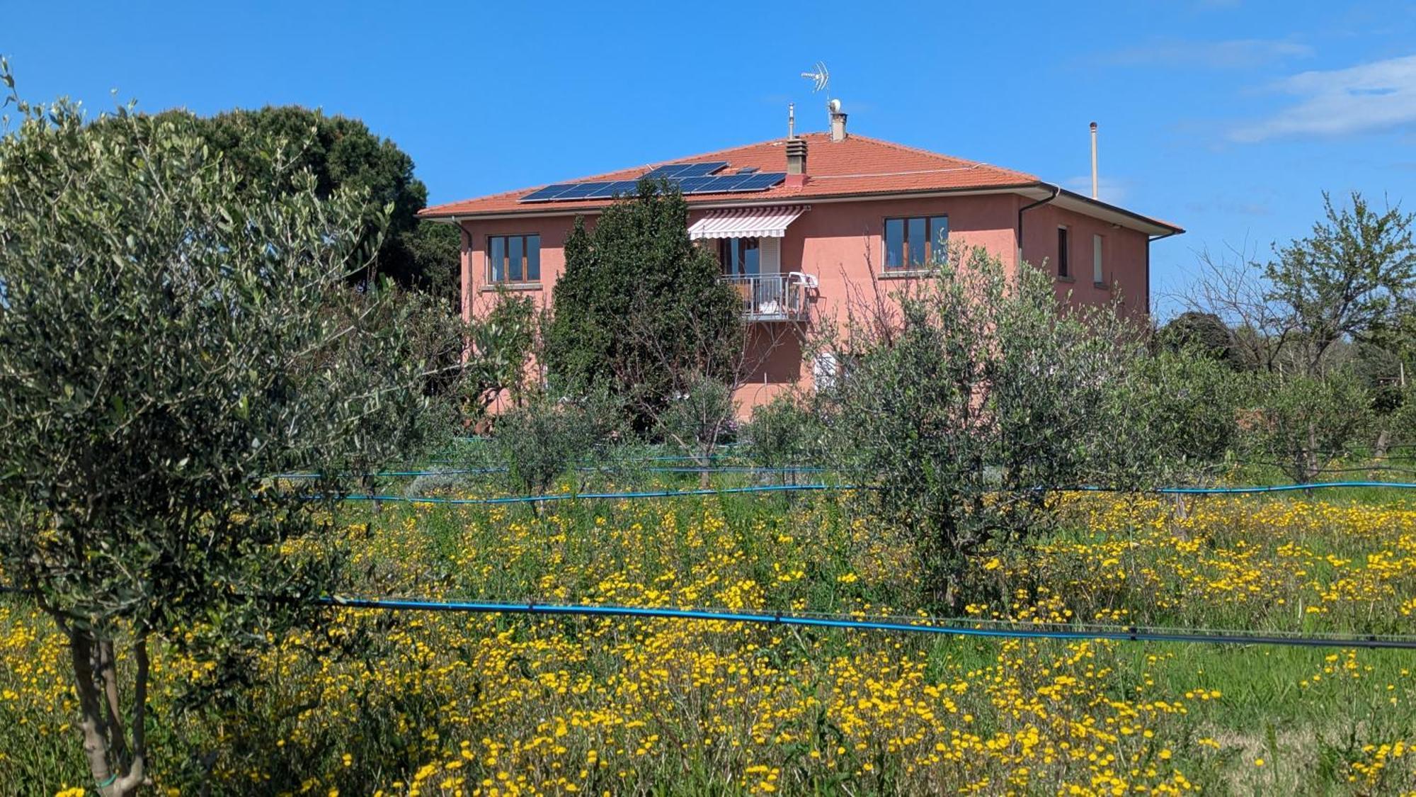 Casa Rurale San Vincenzo Eksteriør bilde